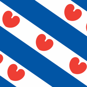 provincie vlag bestellen